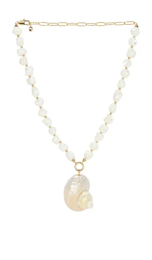 Sunken Treasure Shell Necklace