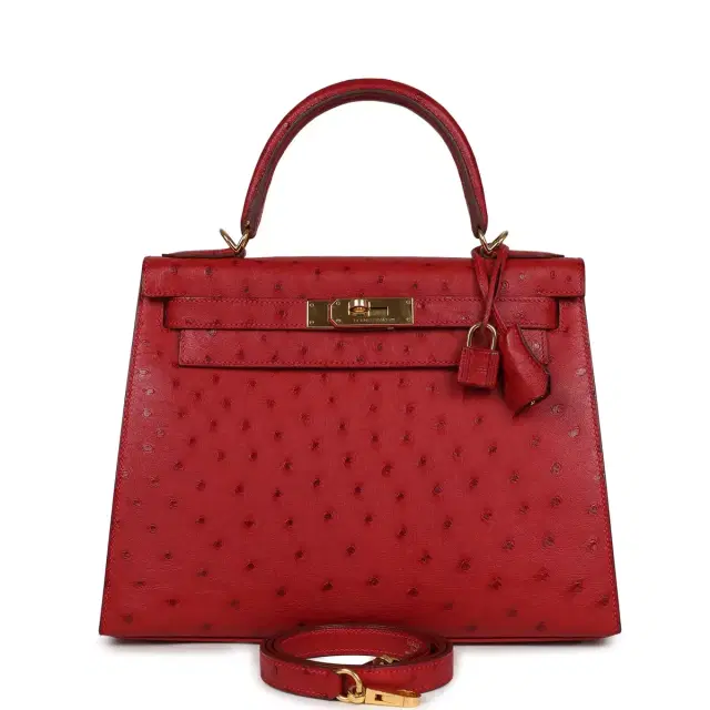 hermes Pre-owned Hermes Kelly Sellier 28 Rouge Vif Ostrich Gold Hardware