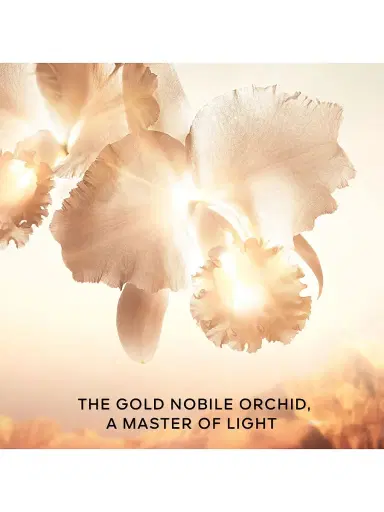 Guerlain Women's Orchidée Impériale Gold Nobile The Eye Concentrate Treatment - Size Refill | Thumbnail 6 Guerlain Women's Orchidée Impériale Gold Nobile The Eye Concentrate Treatment - Size Refill | Thumbnail 6