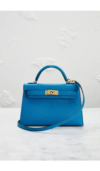 HERMÈS Chevre Kelly 20 Handbag | Thumbnail 2