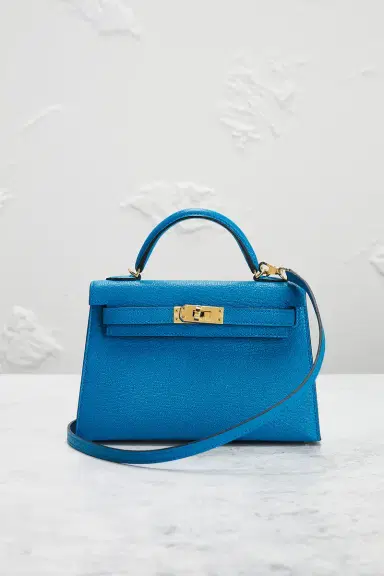 HERMÈS Chevre Kelly 20 Handbag | Thumbnail 4