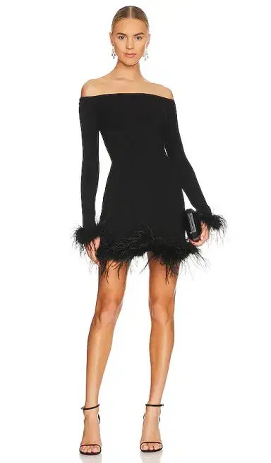 Lovers and Friends Ellerie Feather Knit Mini Dress | Thumbnail 1