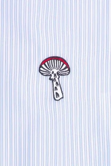 Bottega Veneta Cotton Poplin Stripe Shirt | Thumbnail 3