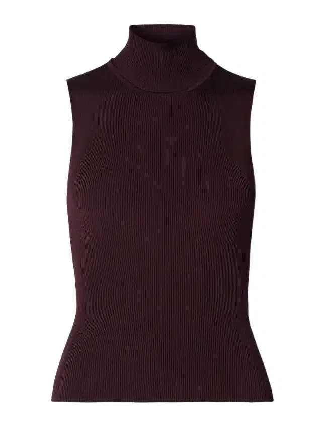 Benita Ribbed-knit Turtleneck Top
