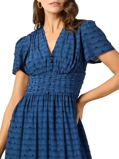 Shoshanna Women's Ferrera Swiss Dot Midi-Dress - Indigo | Thumbnail 4