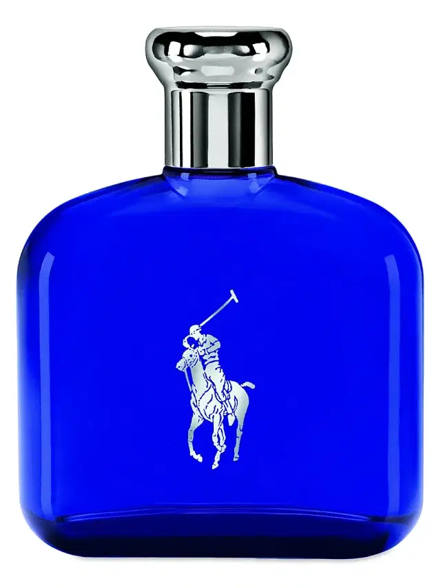 Men's Polo Blue Eau de Toilette 4.2 oz