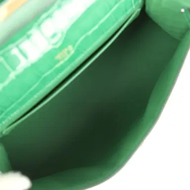 HERMÈS Hermes Kelly Pochette Cactus Shiny Alligator Gold Hardware | Thumbnail 8 HERMÈS Hermes Kelly Pochette Cactus Shiny Alligator Gold Hardware | Thumbnail 8