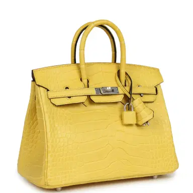HERMÈS Hermes Birkin 25 Mimosa Matte Alligator Mississippiensis Palladium Hardware | Thumbnail 2 HERMÈS Hermes Birkin 25 Mimosa Matte Alligator Mississippiensis Palladium Hardware | Thumbnail 2