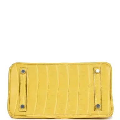 HERMÈS Hermes Birkin 25 Mimosa Matte Alligator Mississippiensis Palladium Hardware | Thumbnail 6 HERMÈS Hermes Birkin 25 Mimosa Matte Alligator Mississippiensis Palladium Hardware | Thumbnail 6
