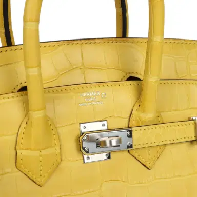 HERMÈS Hermes Birkin 25 Mimosa Matte Alligator Mississippiensis Palladium Hardware | Thumbnail 7 HERMÈS Hermes Birkin 25 Mimosa Matte Alligator Mississippiensis Palladium Hardware | Thumbnail 7