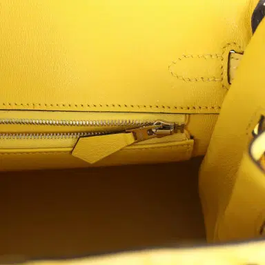 HERMÈS Hermes Birkin 25 Mimosa Matte Alligator Mississippiensis Palladium Hardware | Thumbnail 9 HERMÈS Hermes Birkin 25 Mimosa Matte Alligator Mississippiensis Palladium Hardware | Thumbnail 9