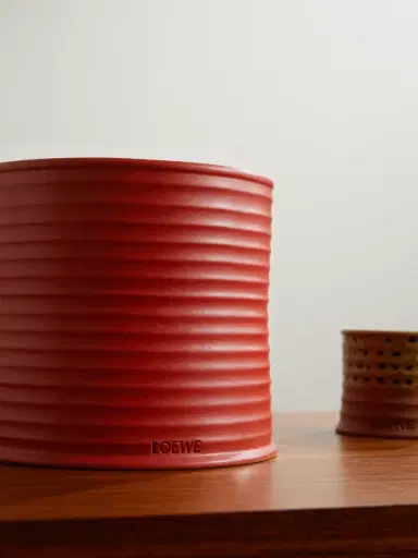LOEWE PERFUMES Tomato Leaves Scented Candle, 2120g - Men | Thumbnail 4 LOEWE PERFUMES Tomato Leaves Scented Candle, 2120g - Men | Thumbnail 4