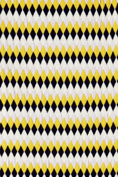 La DoubleJ Checkers Skirt | Thumbnail 3