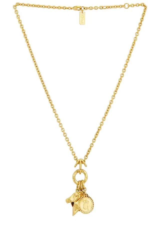 Charms Necklace