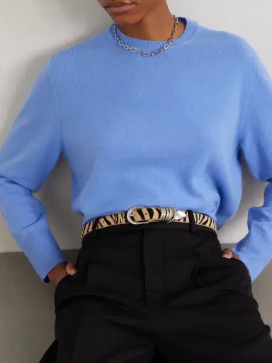 Déhanche Hollyhock Zebra-print Calf Hair Belt | Thumbnail 2