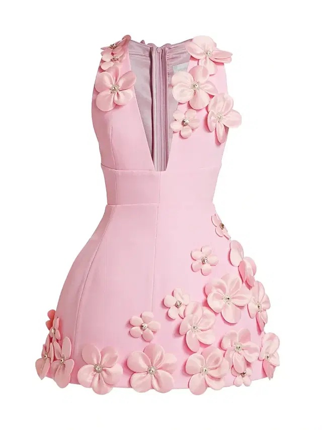Bronx Banco Women's Estelle Floral Applique Minidress - Blush