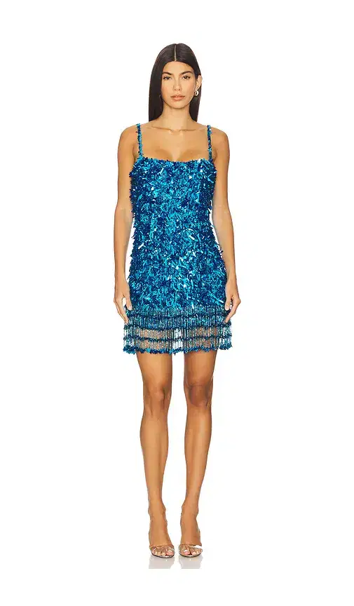 Posie Mini Dress