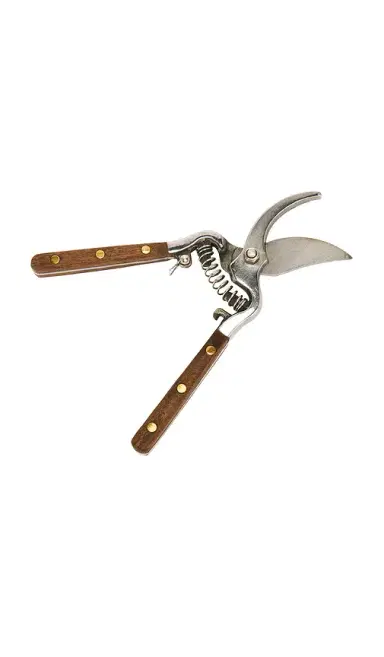 Verve Culture Thai Kitchen & Garden Shears | Thumbnail 2 Verve Culture Thai Kitchen & Garden Shears | Thumbnail 2
