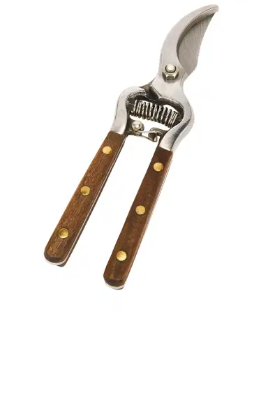 Verve Culture Thai Kitchen & Garden Shears | Thumbnail 3 Verve Culture Thai Kitchen & Garden Shears | Thumbnail 3
