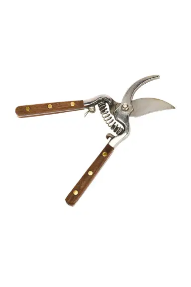 Verve Culture Thai Kitchen & Garden Shears | Thumbnail 4 Verve Culture Thai Kitchen & Garden Shears | Thumbnail 4