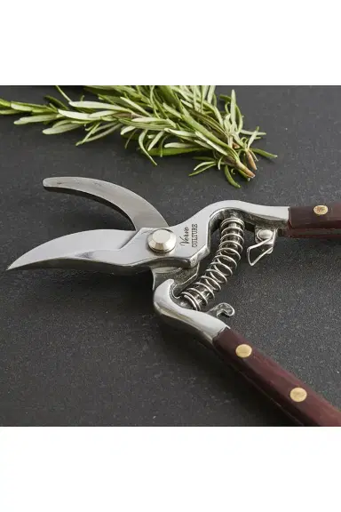 Verve Culture Thai Kitchen & Garden Shears | Thumbnail 6 Verve Culture Thai Kitchen & Garden Shears | Thumbnail 6