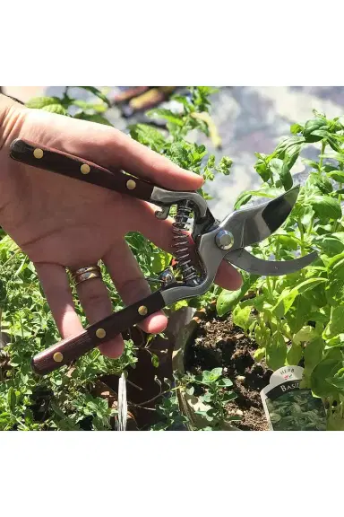 Verve Culture Thai Kitchen & Garden Shears | Thumbnail 7 Verve Culture Thai Kitchen & Garden Shears | Thumbnail 7