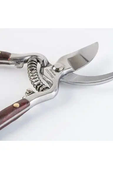 Verve Culture Thai Kitchen & Garden Shears | Thumbnail 9 Verve Culture Thai Kitchen & Garden Shears | Thumbnail 9