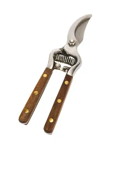 Verve Culture Thai Kitchen & Garden Shears | Thumbnail 1 Verve Culture Thai Kitchen & Garden Shears | Thumbnail 1