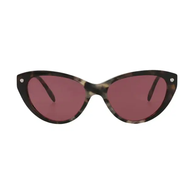 Alexander Mcqueen Cat Eye Acetate 55 mm Ladies Sunglasses by The Solist