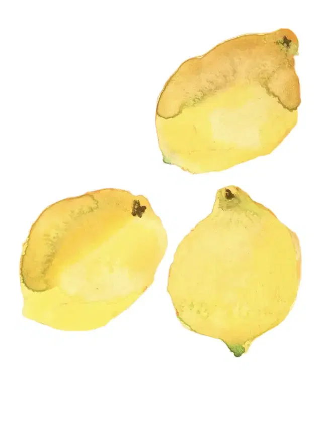Lemons Print
