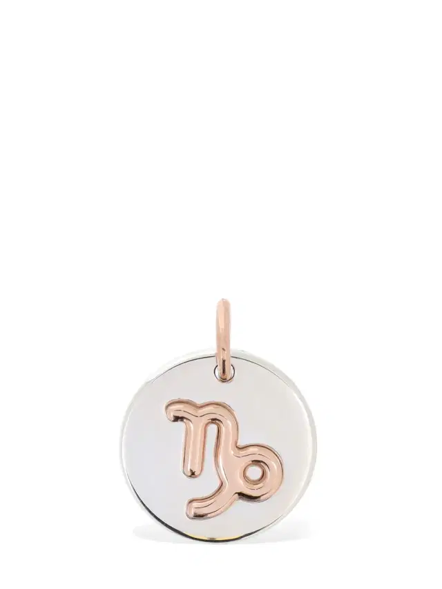 9kt Rose Gold & Silver Capricorn Charm