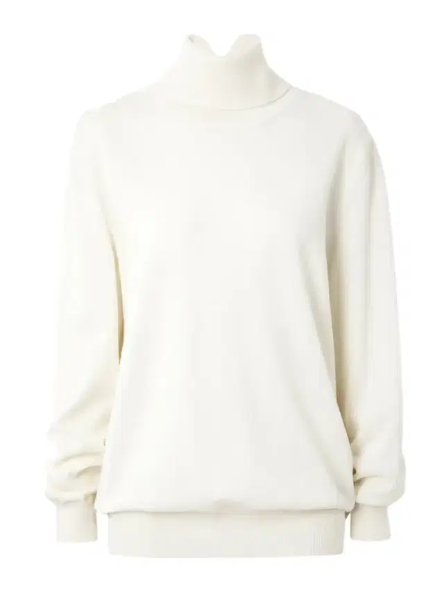 Wool Turtleneck Sweater