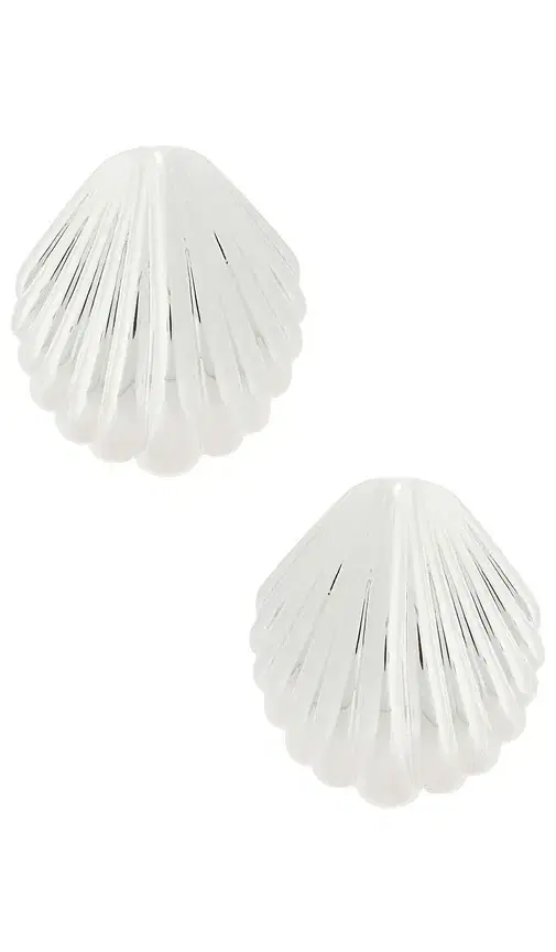 Silver Shell Earring