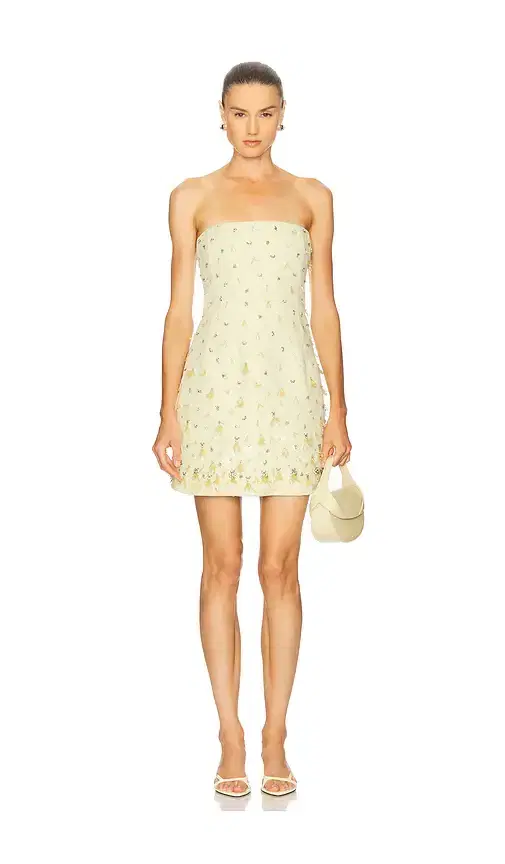 SIMKHAI Yasmin Bustier Mini Dress
