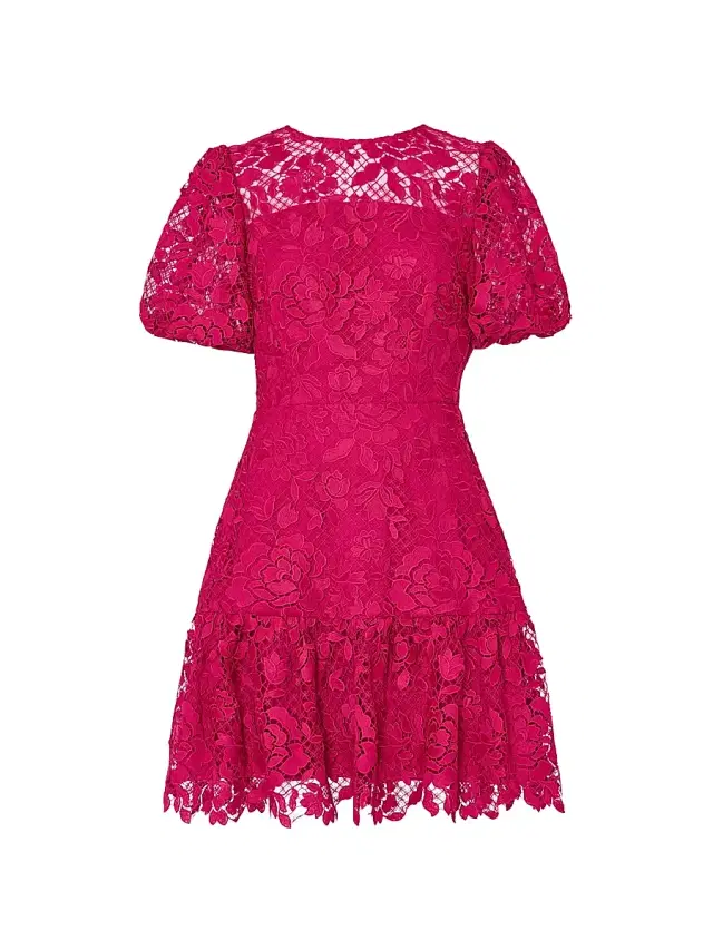 Milly Women's Yasmin Floral Lace Fit & Flare Minidress - Raspberry