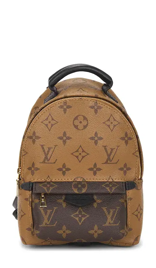 Louis Vuitton Monogram Palm Springs NM Mini Backpack