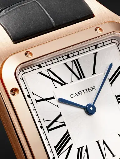 Cartier Santos-Dumont Large 43.5mm 18-Karat Rose Gold and Alligator Watch, Ref. No. WGSA0116 - Men | Thumbnail 5