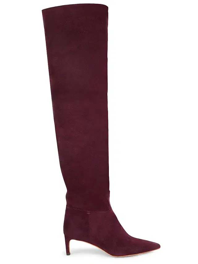 Women's Carolina Slouchy 55MM Over-The-Knee Suede Boots - Cognac