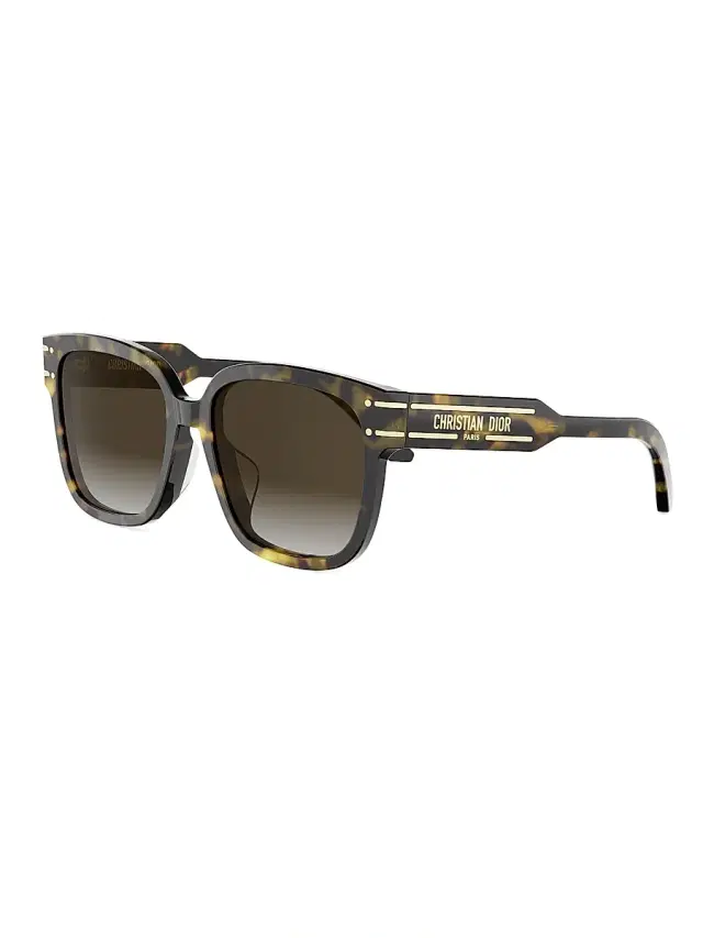 Dior Women's Signature S7F 58MM Square Sunglasses - Darkhavanaandgradientbrown