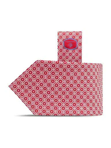 Stefano Ricci Men's Luxury Tie - Red | Thumbnail 1