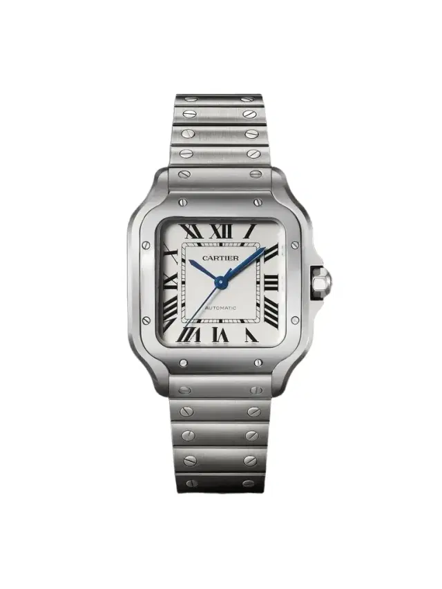 Cartier Santos Automatic Medium Stainless Steel Interchangeable Watch, Ref. WSSA0029 - Men