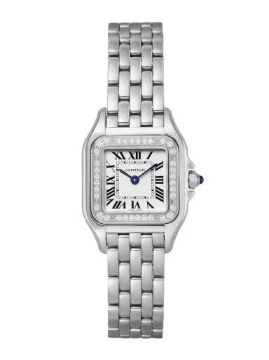 Cartier Panthère De Small Stainless Steel Diamond Watch | Thumbnail 1 Cartier Panthère De Small Stainless Steel Diamond Watch | Thumbnail 1