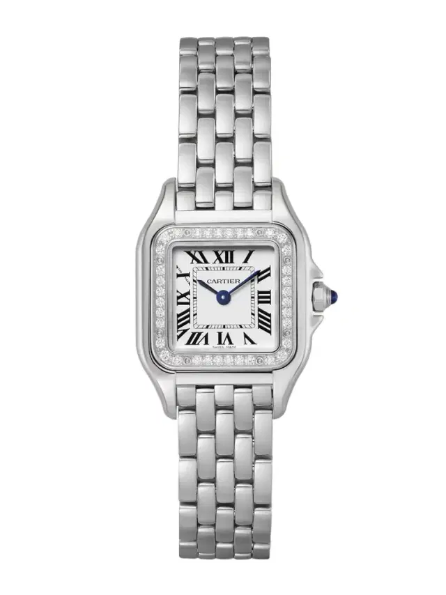 Cartier Panthère De  Small Stainless Steel Diamond Watch