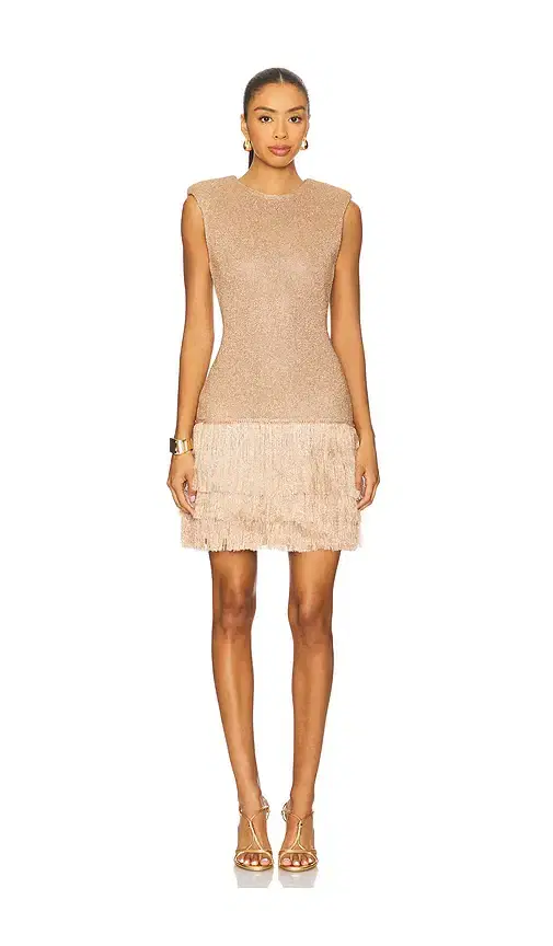 Aje Breeze Kint Mini Dress