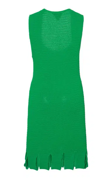 Bottega Veneta Carwash-Hem Cotton-Blend Mesh Mini Dress | Thumbnail 3 Bottega Veneta Carwash-Hem Cotton-Blend Mesh Mini Dress | Thumbnail 3