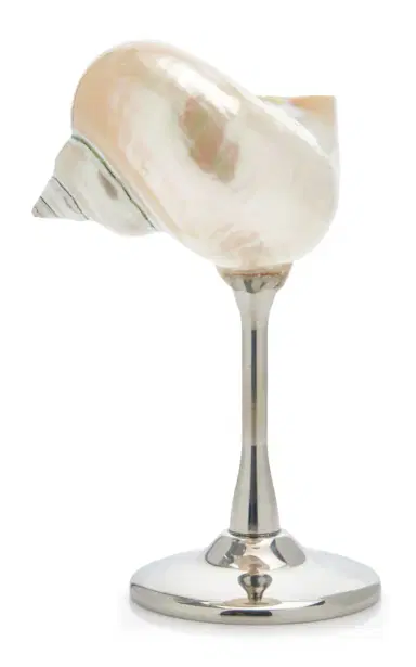 Tres J Shell Silver Stemmed Cocktail Glass | Thumbnail 4