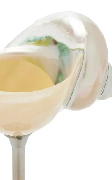 Tres J Shell Silver Stemmed Cocktail Glass | Thumbnail 5