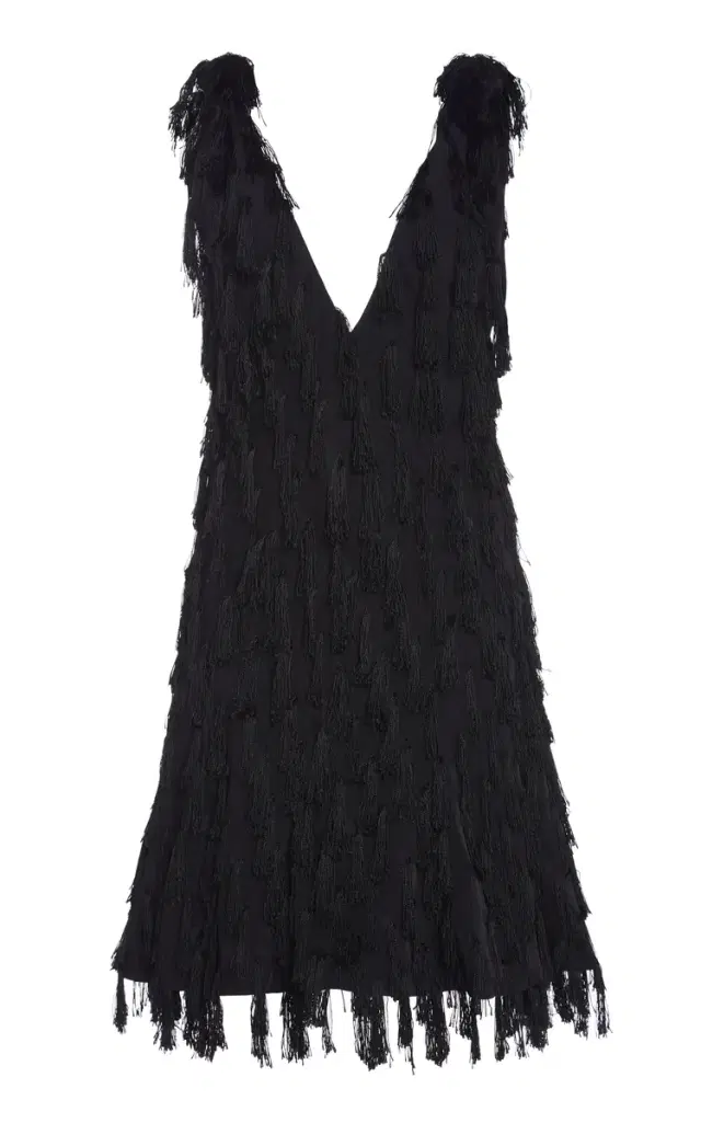 Bottega Veneta Fringed Fil Coupe Crepe Mini Dress