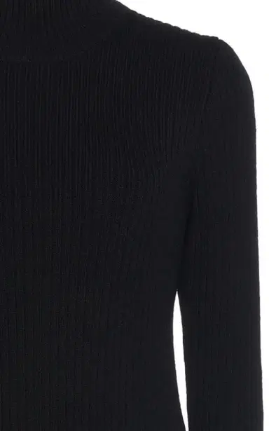 Bottega Veneta Turtleneck Ribbed Knit Mini Dress | Thumbnail 4 Bottega Veneta Turtleneck Ribbed Knit Mini Dress | Thumbnail 4
