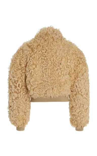 Bottega Veneta Shearling Jacket | Thumbnail 5